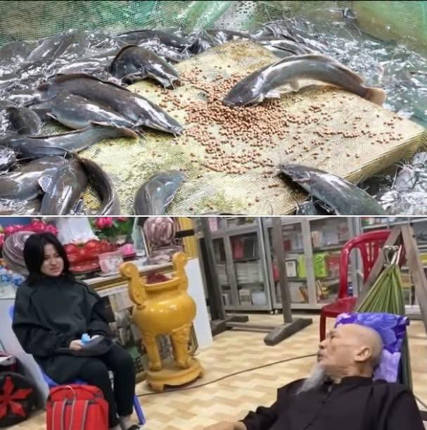 504917703_708918345212611_9186729896030534518_n