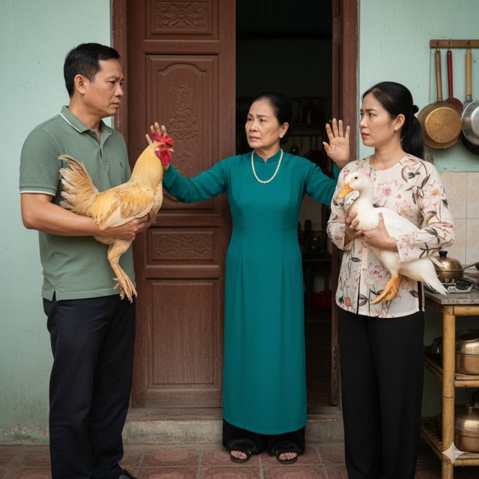 578261051_122253267656062016_3997090848603559503_n